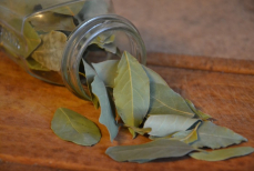 Почему в стиральную машину кидают лавровый лист