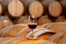 Полезны ли вино и пиво для кишечника? 