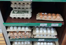 Почему лучше не покупать яйца С0 и крупнее