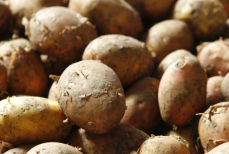 Можно ли есть мягкую картошку