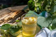 Полезен ли липовый чай