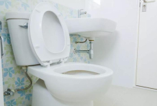 Измельчите лимон в блендере — и вопрос с мочевым камнем решён. Унитаз теперь всегда чистый