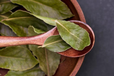 Почему лавровый лист нужно класть под холодильник