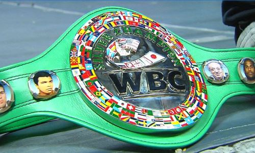 «Вошел в историю». WBC назвал лучшего боксера 2024 года