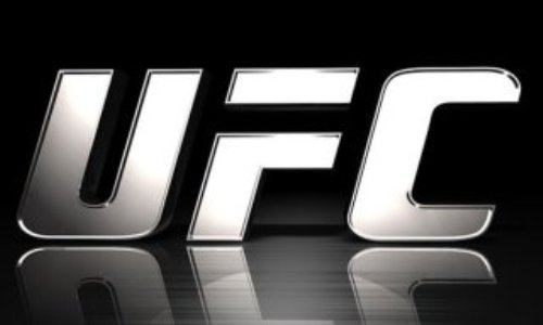 Названы казахстанские бойцы, которые уже сейчас способны пополнить UFC