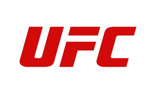 Стало известно о готовности еще одного казахстанца драться в UFC