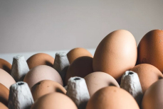 Заостренным концом вверх или вниз? Как и где нужно хранить яйца — тогда желток не окислится раньше времени