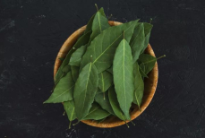 Поможет ли лавровый лист в борьбе с тараканами