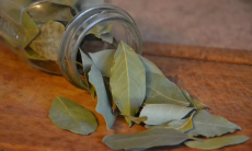 Один быстрый способ навсегда избавит от тараканов в доме — паразиты убегут толпой