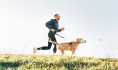 Что такое каникросс и как им заниматься. Гайд для самых спортивных хозяев и их собак