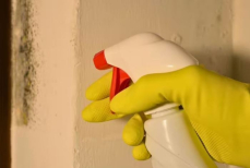 Эксперты призвали обработать стены уксусом в феврале — в чем причина