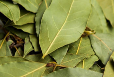 Почему нужно класть лавровый лист в карман