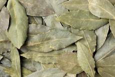 Поможет ли лавровый лист в борьбе с молью