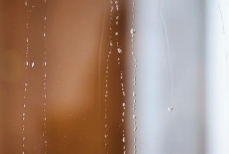 Конденсат останется в прошлом — раскрыт оригинальный и дешевый способ защитить окна от влаги и плесени