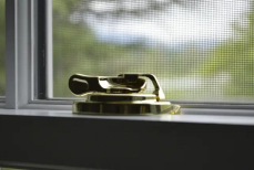 Действительно ли сетка на окнах защищает от насекомых? Вот как улучшить ее эффективность