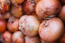 Положите это к луку, чтобы хранить его до весны