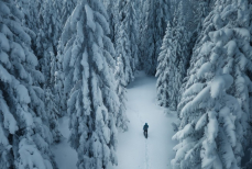 Экстремалы оценят. В Японии пройдут масштабные прятки в заснеженном лесу
