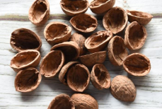 Почему не стоит выбрасывать скорлупу грецкого ореха — как применить отходы дома и на даче