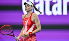 Карьера Елены Рыбакиной оказалась под угрозой