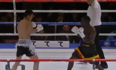 Тремя нокдаунами и нокаутом в первом раунде обернулся бой узбекистанского боксера. Видео