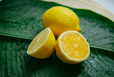 Как правильно хранить разрезанный лимон — пролежит целый месяц и не сгниет