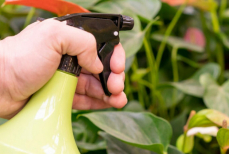 Борьба с вредителями в огороде ещё не была такой простой. Поможет копеечное средство — есть в каждой аптеке