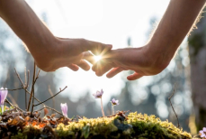 Кому ждать счастья, удачи и любви этой весной