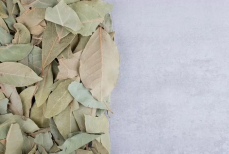 В какие блюда нельзя добавлять лавровый лист — их он не улучшает, а превращает в отменную гадость