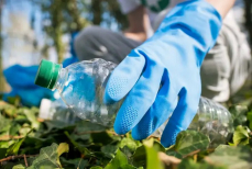 Как повторно использовать пластиковые бутылки в саду — необычные способы