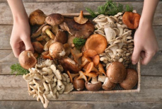 Нужно ли мыть грибы перед жаркой и засолкой