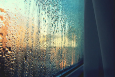 Как избавиться от конденсата на окнах — раскрыта забытая хитрость. О плесени можно будет забыть