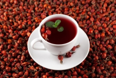 «Рекордсмен». Доктор Мясников назвал самый богатый витамином С продукт — это не лимон и даже не смородина