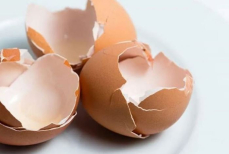 Почему не стоит выбрасывать яичную скорлупу