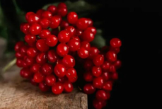 Почему нельзя рубить калину возле дома. О последствиях знают единицы