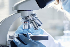 Как гены влияют на размер глаз