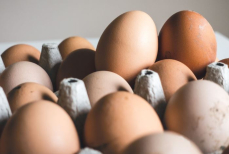 Можно ли замораживать яйца