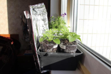 Растения крепчают при помощи фольги. Экономлю и радуюсь, больше никаких переплат за свет 