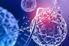 Новые исследования по поводу метапневмовируса в Казахстане