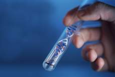 Что показывают ДНК-тесты казахов, и можно ли им верить