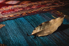 Почему нужно класть лавровый лист под ковер перед сном — будут удивительные перемены в доме