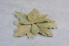 Перечислены удивительные свойства лаврового листа. Как с его помощью улучшить и дом, и здоровье