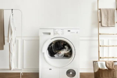 Что делать, если дверь стиралки заклинило после стирки