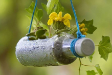 Ни в коем случае не выбрасывайте пластиковые бутылки — восемь способов применения на огороде