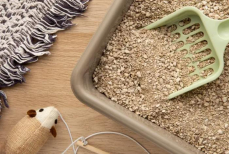 Какой наполнитель можно смывать в канализацию