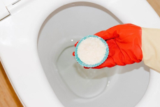 Ложка соли для идеального унитаза — сработает ли метод