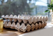 Хитрые дачники всю зиму собирают лотки от яиц. Для чего они это делают