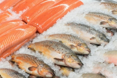 Какую рыбу выбрать для омега-3 — доктор Мясников раскрыл секрет