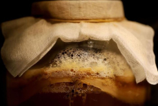 Комбуча — что это такое и чем она полезна