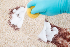 «Происходит магия». Для чего хитрые хозяйки наносят крем для бритья на ковер