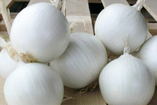 Почему ни в коем случае нельзя есть лук в сыром виде